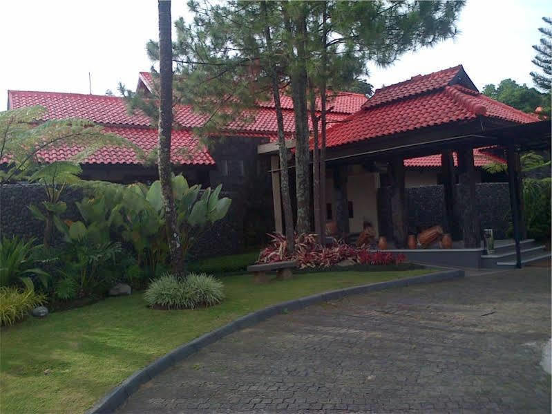 Dago Highland