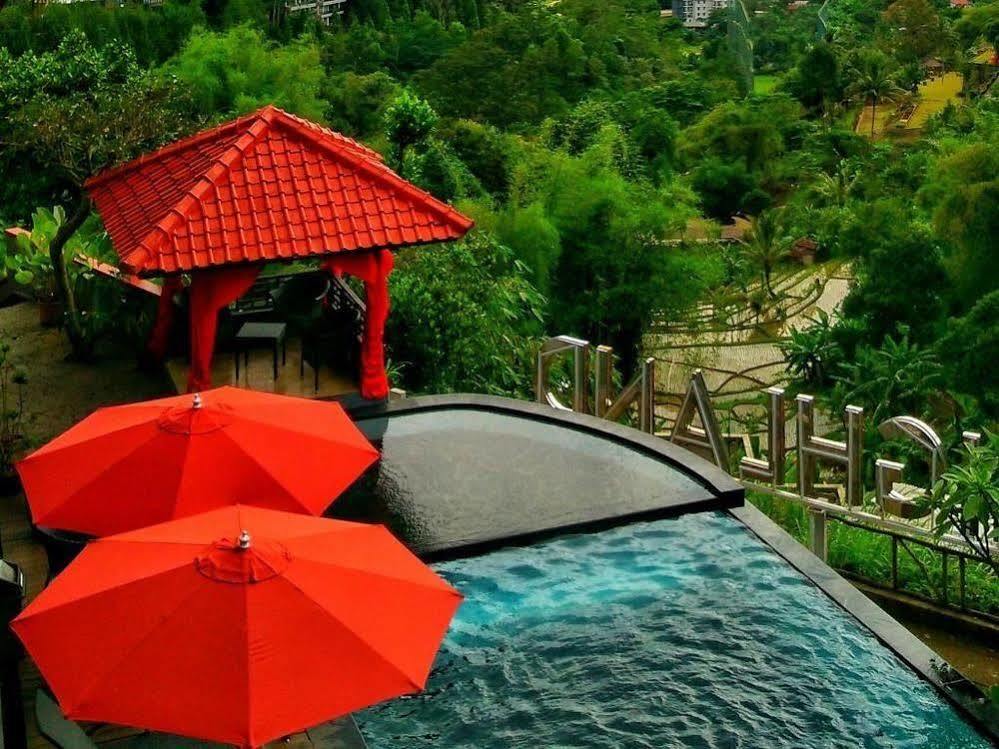 Dago Highland